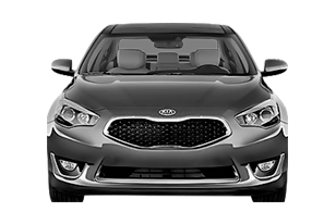 Cadenza